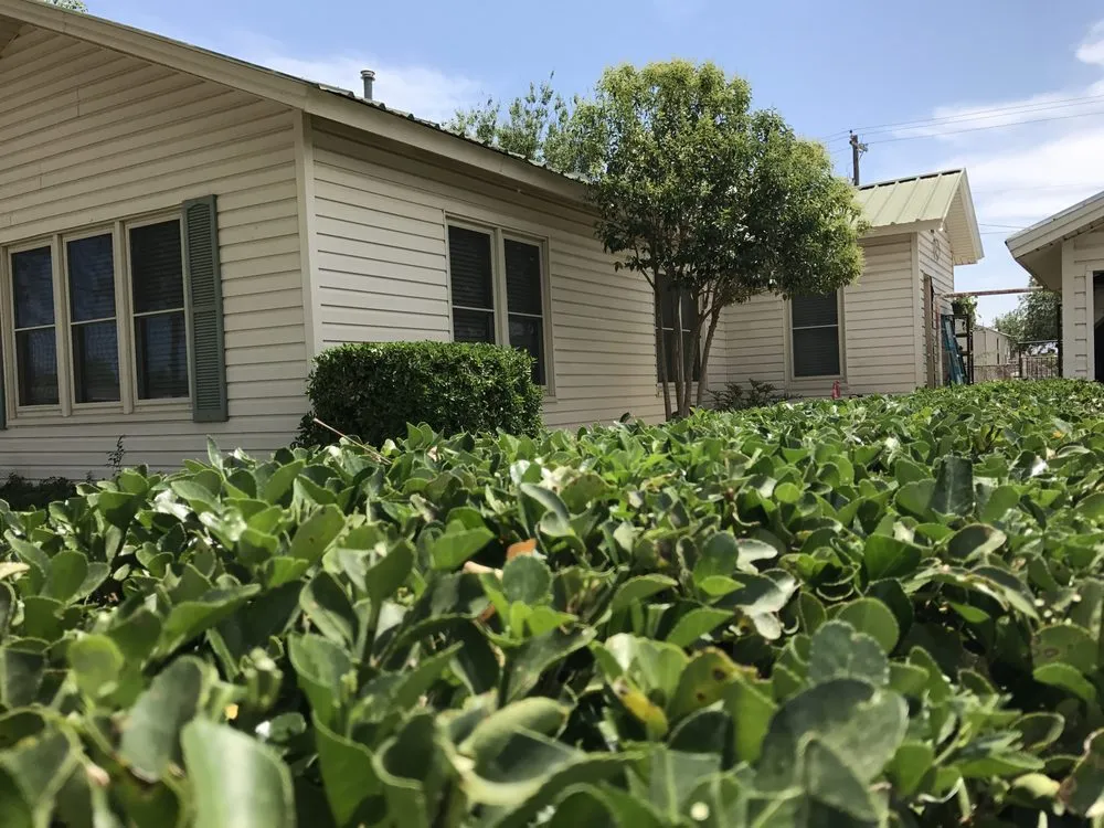 Expert landscape design for homes in San Angelo, TX by 360 Tree and Landscaping