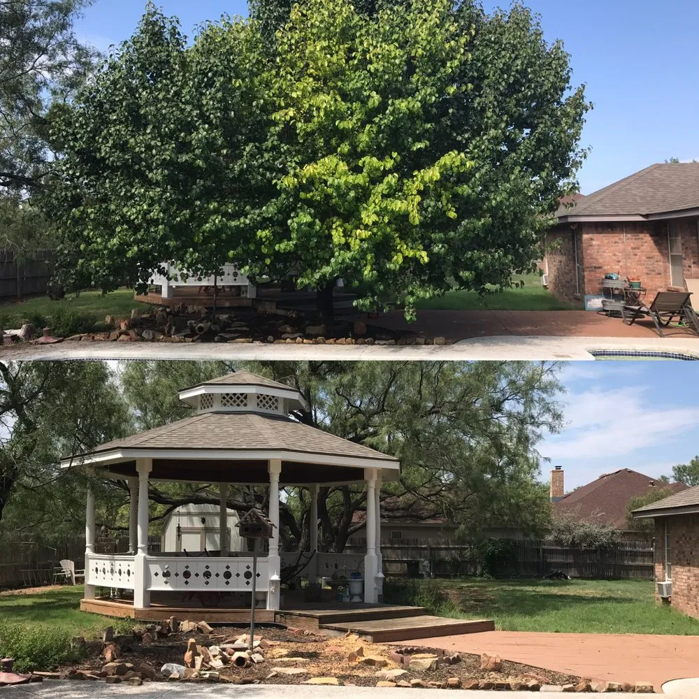 Professional landscape installation near you across San Angelo, TX - 360 Tree and Landscaping