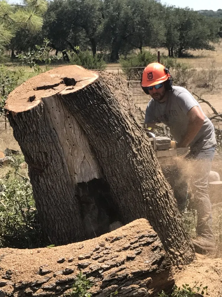 Professional lawn care service in San Angelo, TX - 360 Tree and Landscaping
