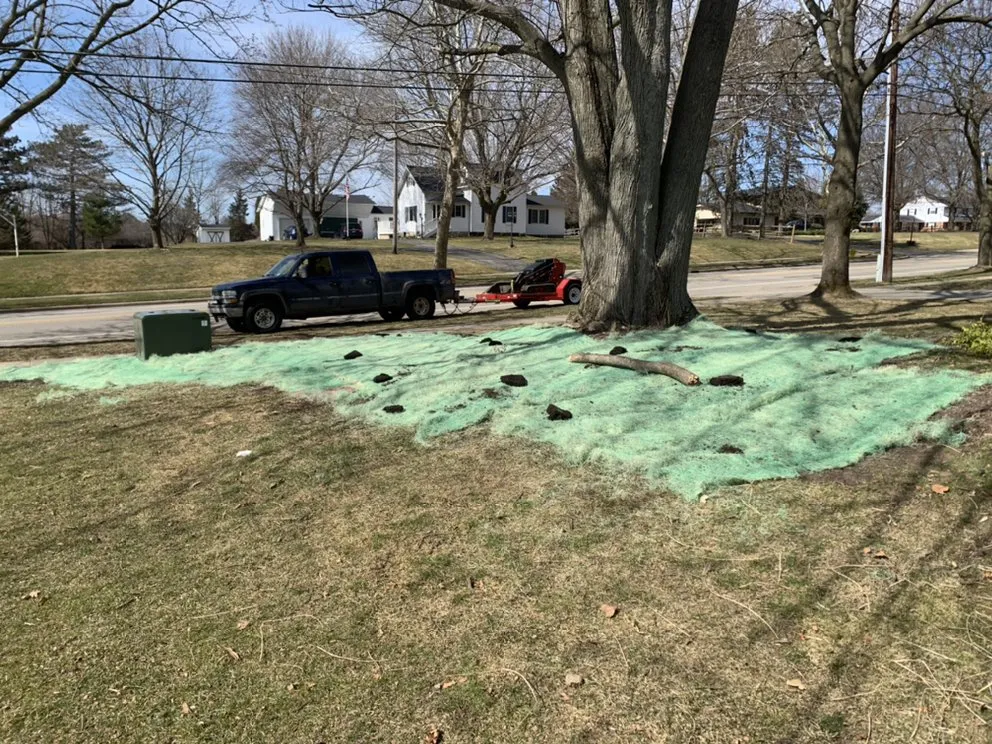 Local lawn care service experts serving Grand Rapids, MI - 360 Tree Service & Clean up