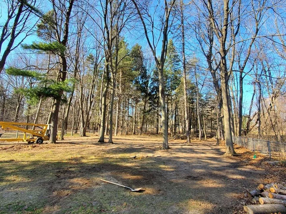 Expert residential landscaping in Grand Rapids, MI by 360 Tree Service & Clean up