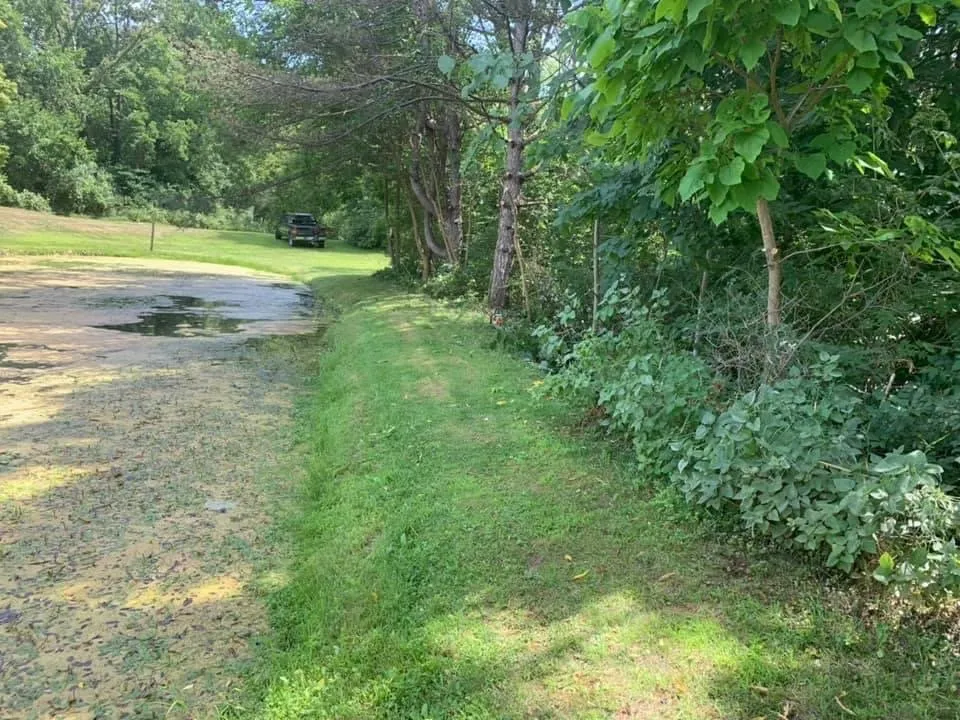 Professional landscaping services in Grand Rapids, MI by 360 Tree Service & Clean up