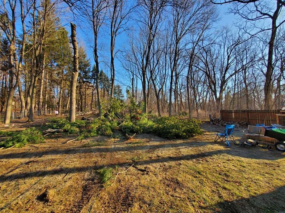 Custom lawn mowing service for residential properties across Grand Rapids, MI - 360 Tree Service & Clean up