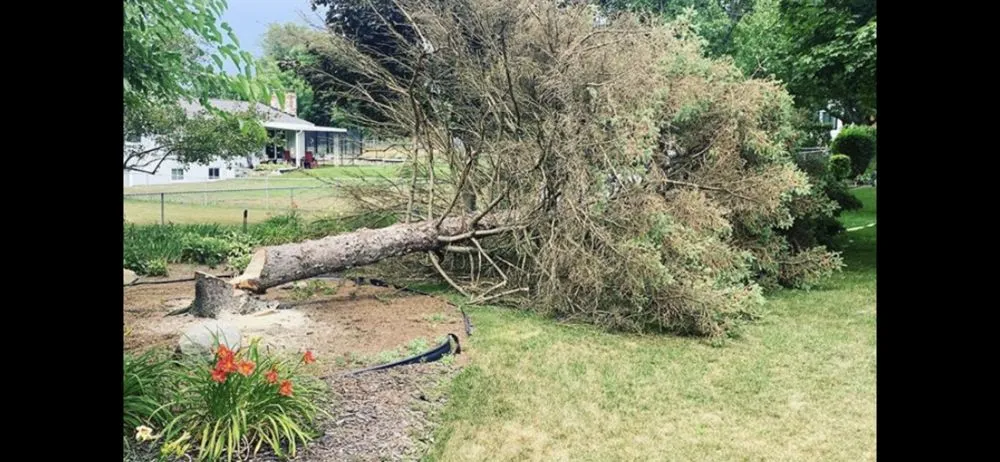 Reliable outdoor landscaping experts serving Grand Rapids, MI - 360 Tree Service & Clean up