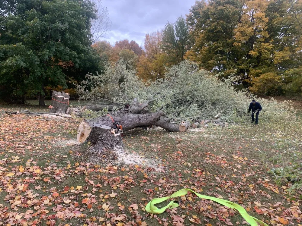 Expert outdoor landscaping for outdoor upgrades in Grand Rapids, MI by 360 Tree Service & Clean up