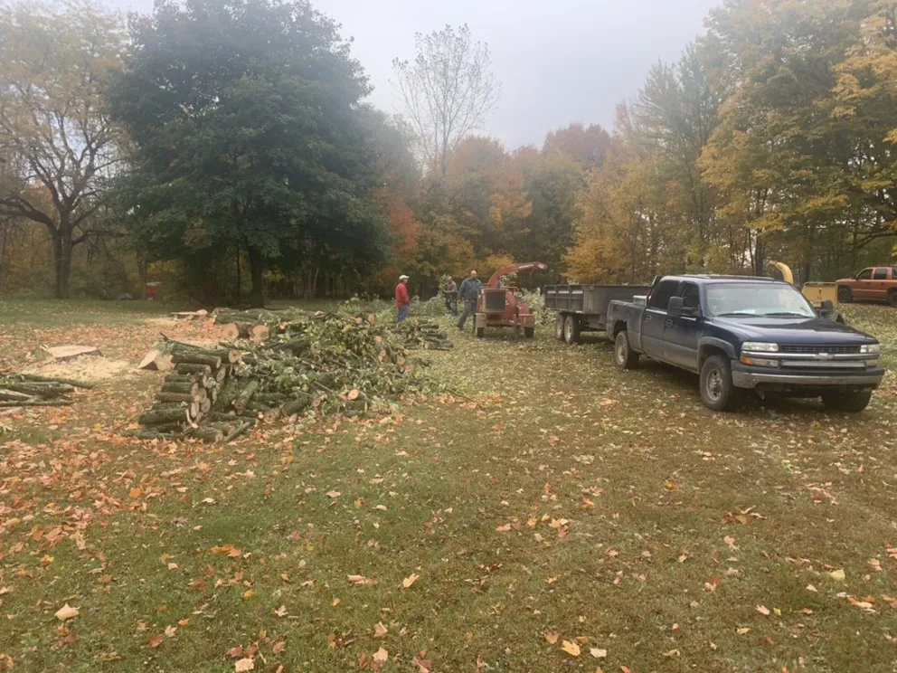 Professional outdoor landscaping near you in Grand Rapids, MI by 360 Tree Service & Clean up
