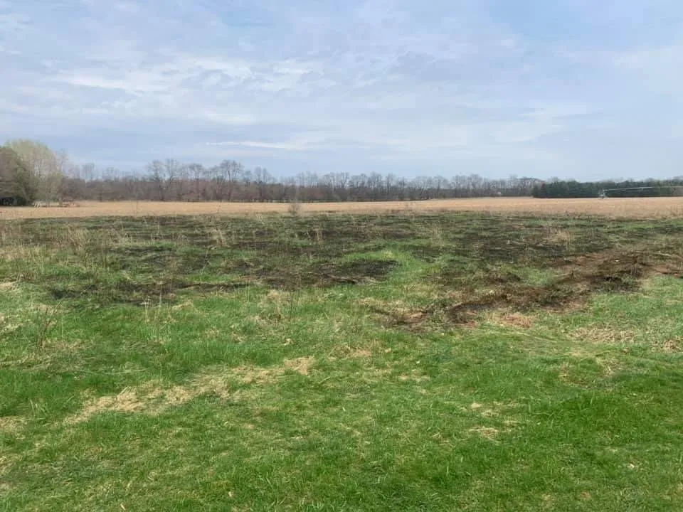 Reliable yard cleanup service in Grand Rapids, MI - 360 Tree Service & Clean up