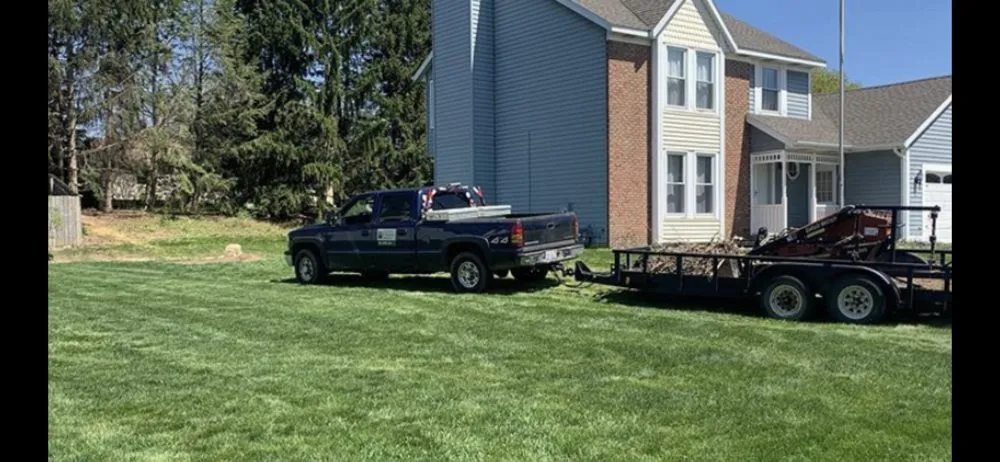 Affordable lawn care service near you in Grand Rapids, MI by 360 Tree Service & Clean up