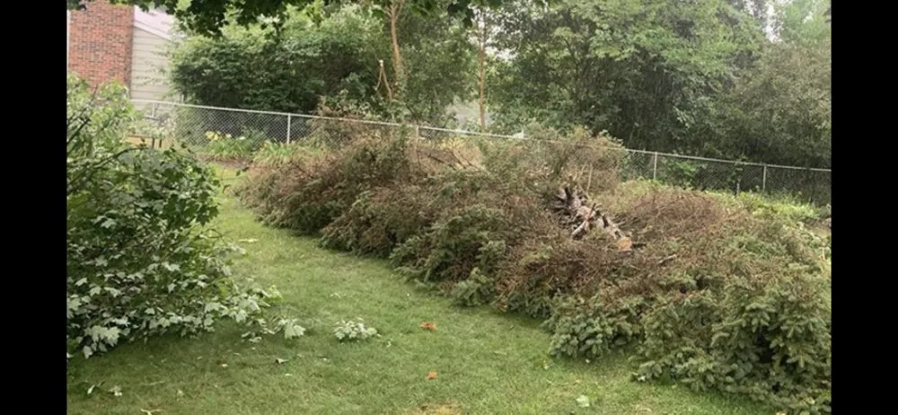 Professional yard maintenance experts serving Grand Rapids, MI - 360 Tree Service & Clean up
