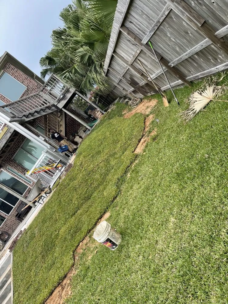 Local yard cleanup service with custom design in Galveston, TX by 360Blue Home Services