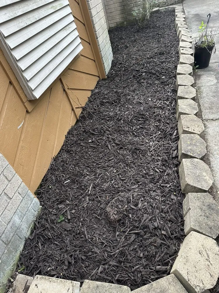 Trusted outdoor landscaping for beautiful yards across Galveston, TX - 360Blue Home Services