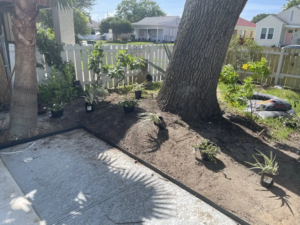 Trusted landscape installation for year-round maintenance across Galveston, TX - 360Blue Home Services