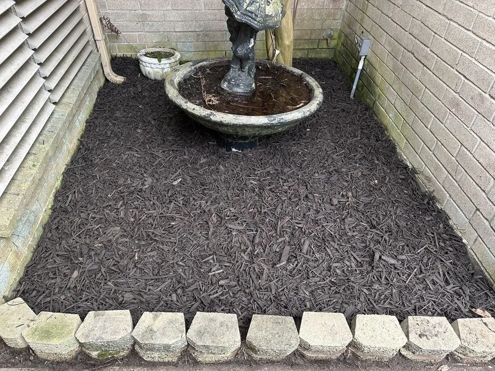 Top-rated yard maintenance for outdoor upgrades across Galveston, TX - 360Blue Home Services