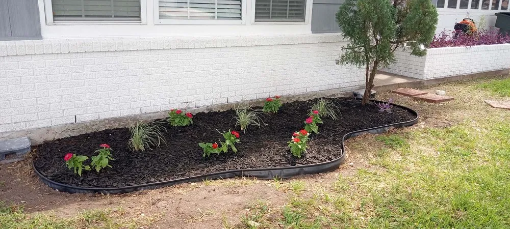 Professional yard maintenance for homes in Galveston, TX by 360Blue Home Services
