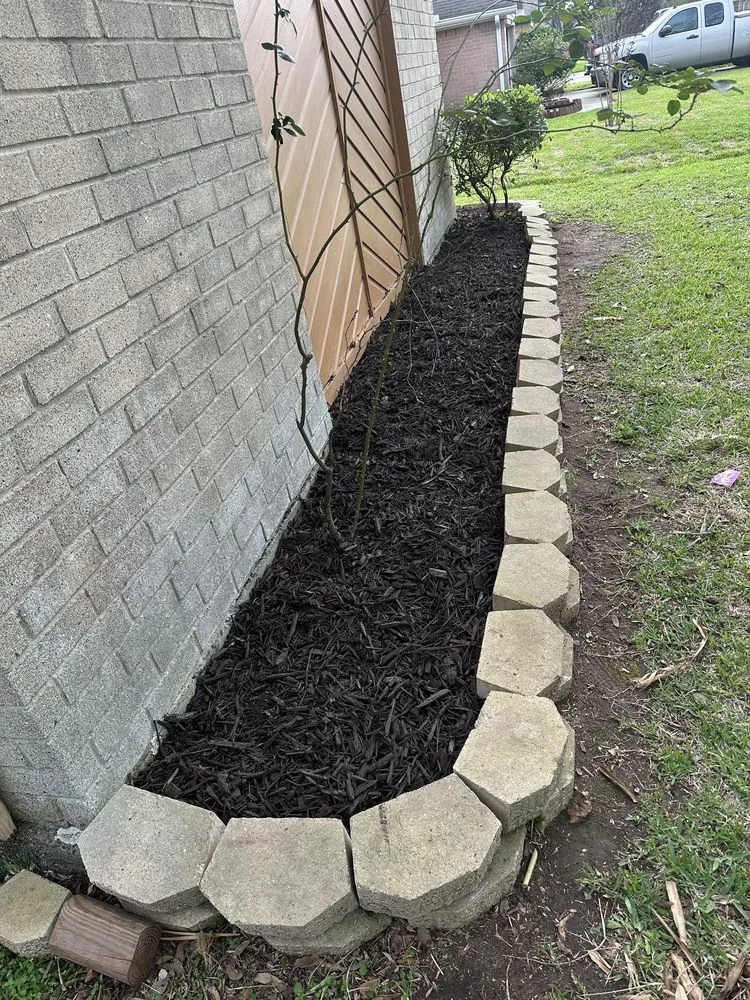 Local yard maintenance for year-round maintenance in Galveston, TX by 360Blue Home Services