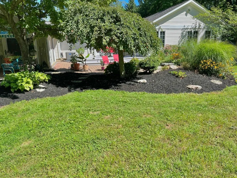 Reliable yard cleanup service experts serving Wickliffe, OH - 365 Exterior Home & Lawn Care