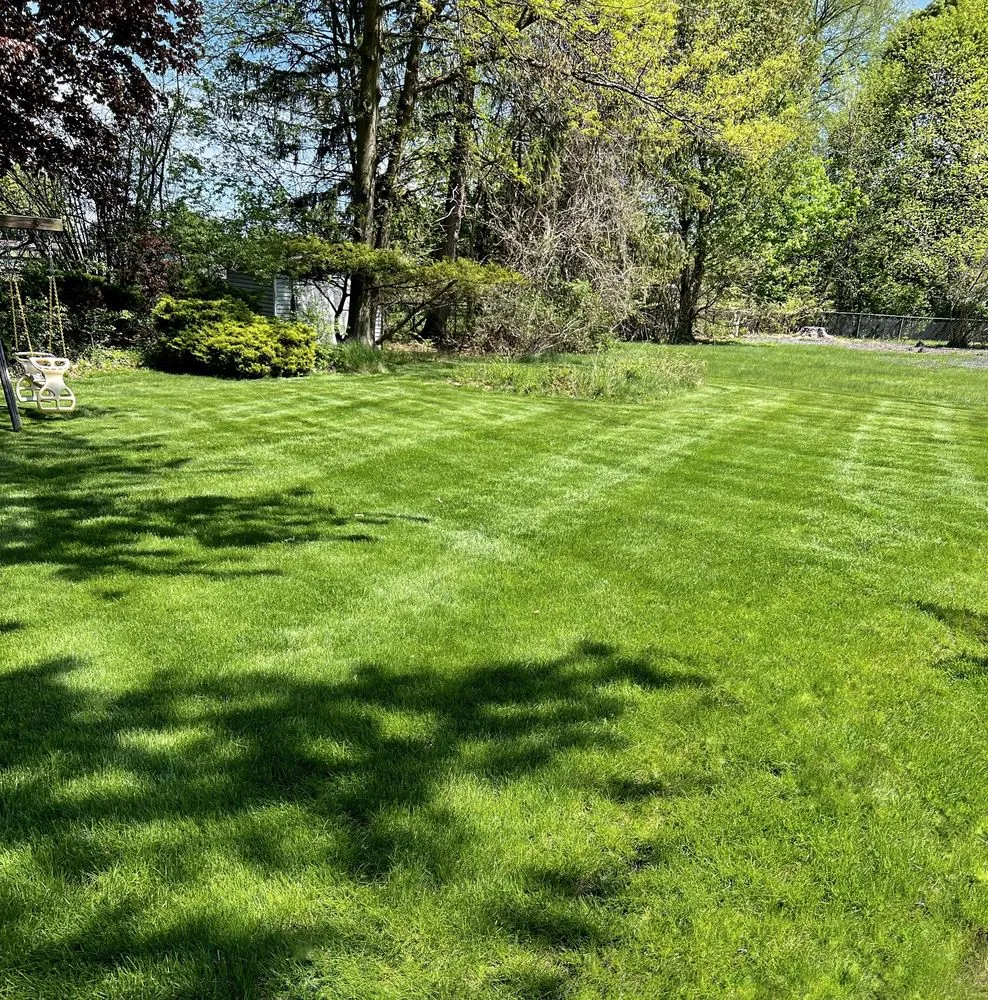 Reliable landscape design for year-round maintenance in Wickliffe, OH by 365 Exterior Home & Lawn Care