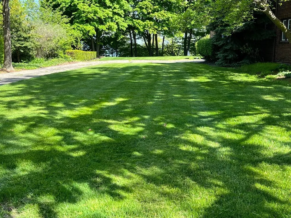 Local outdoor landscaping for outdoor upgrades across Wickliffe, OH - 365 Exterior Home & Lawn Care