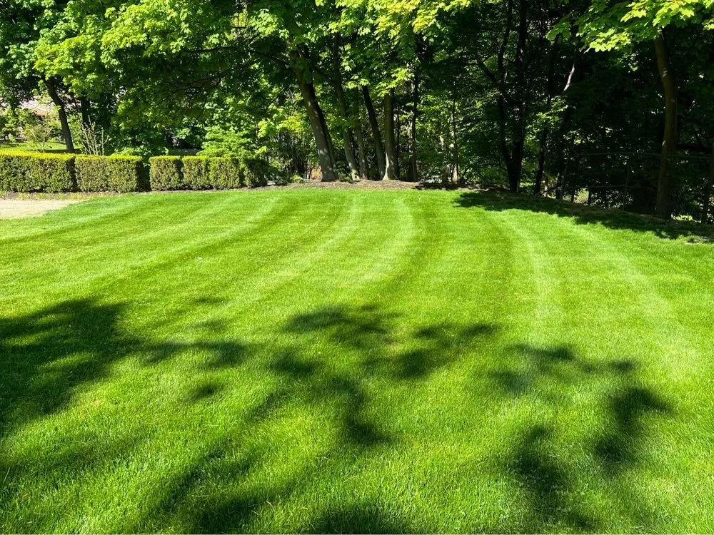 Affordable lawn care service for beautiful yards in Wickliffe, OH by 365 Exterior Home & Lawn Care