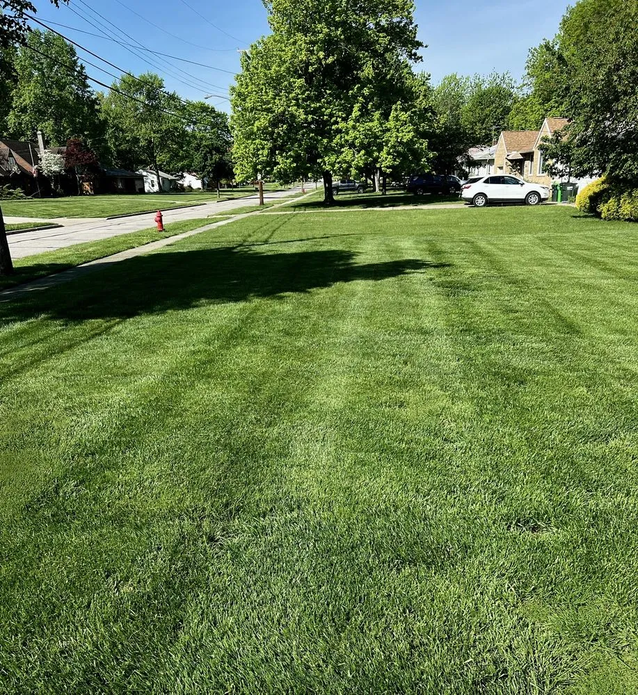 Expert landscaping services in Wickliffe, OH by 365 Exterior Home & Lawn Care