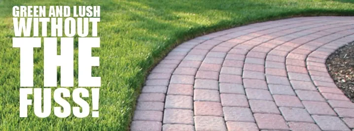 Local yard maintenance in Coopersburg, PA - 365 Landscapes