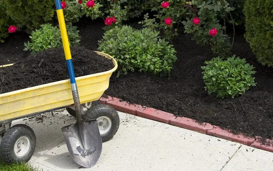 Expert outdoor landscaping in Coopersburg, PA - 365 Landscapes