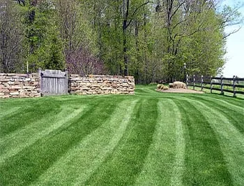 Expert landscape design for beautiful yards in Coopersburg, PA by 365 Landscapes