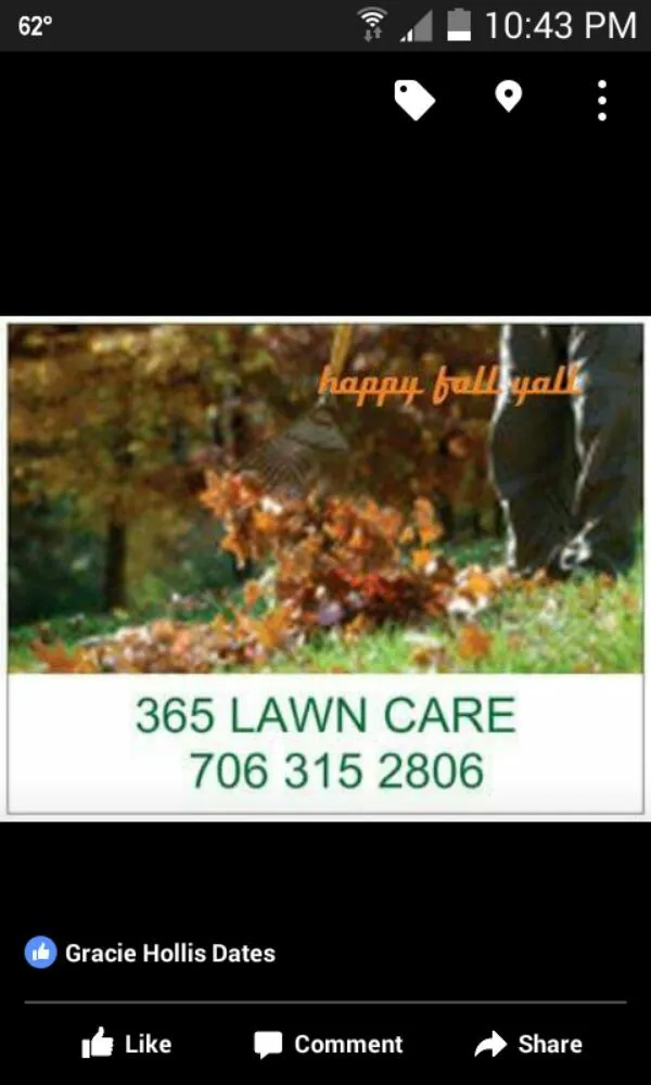 Affordable outdoor landscaping in Columbus, GA - 365 Lawn Care