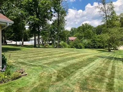 Expert yard cleanup service with custom design across Lone Jack, MO - 365 Lawn Care