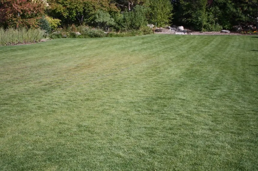 Expert landscape installation experts serving Lone Jack, MO - 365 Lawn Care