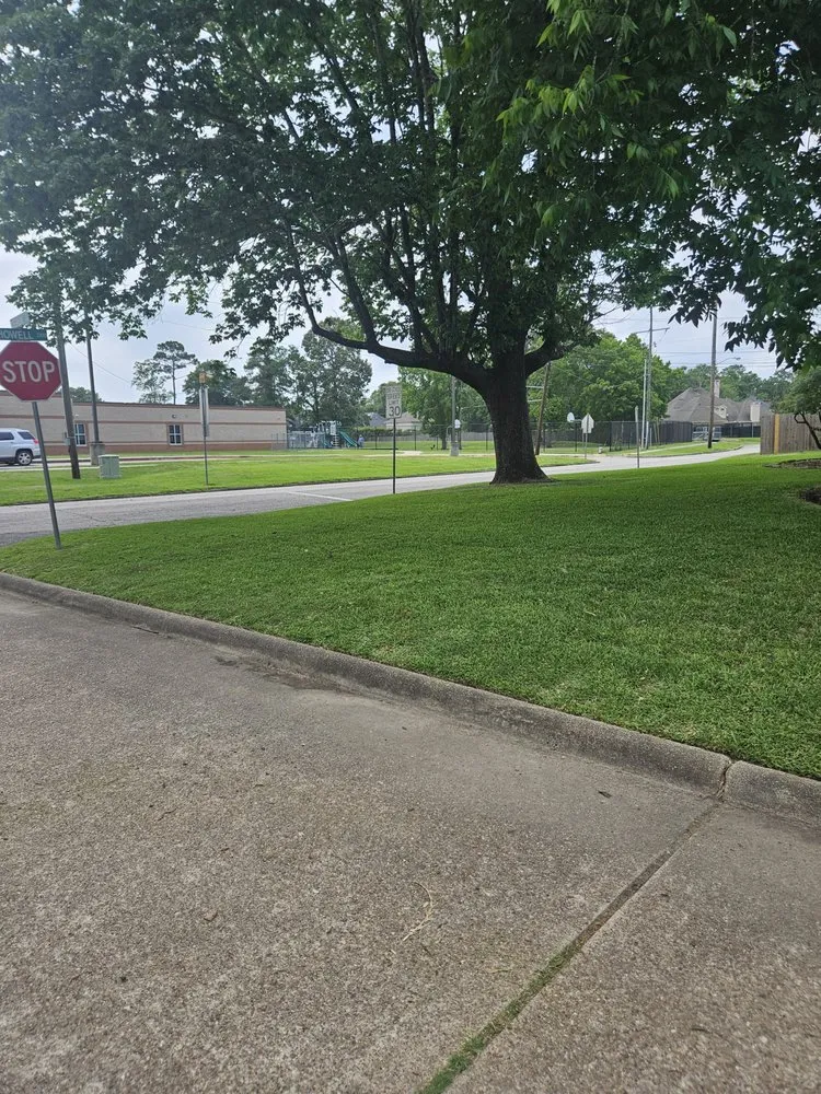 Local lawn care service in Beaumont, TX by 365 Lawn Care Solutions