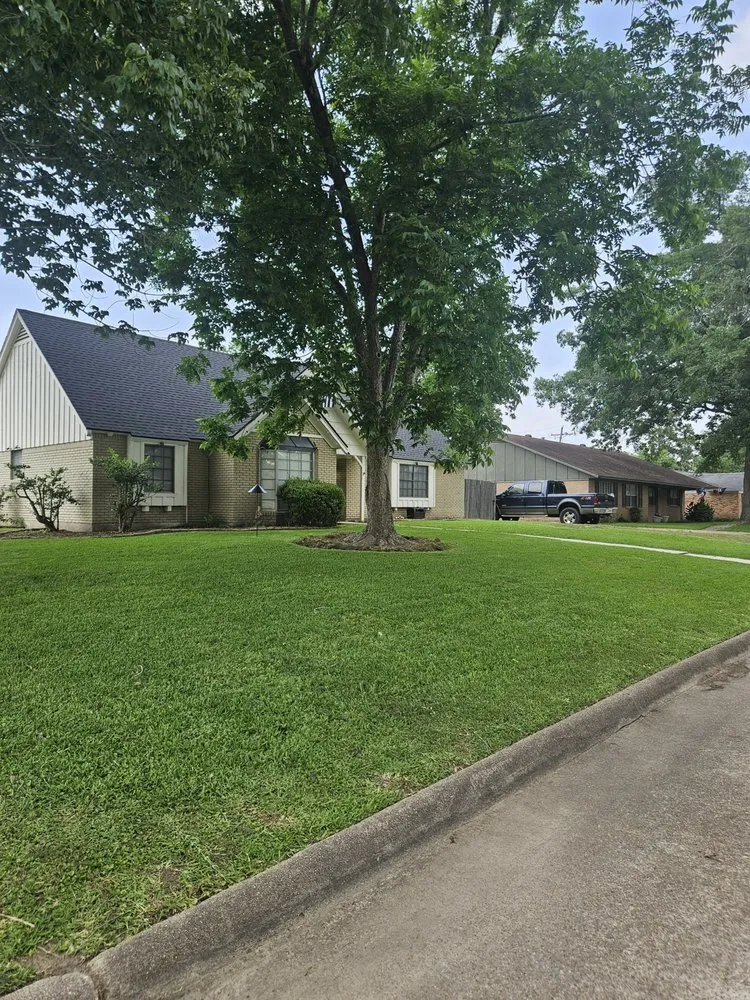 Affordable landscape installation for year-round maintenance in Beaumont, TX by 365 Lawn Care Solutions