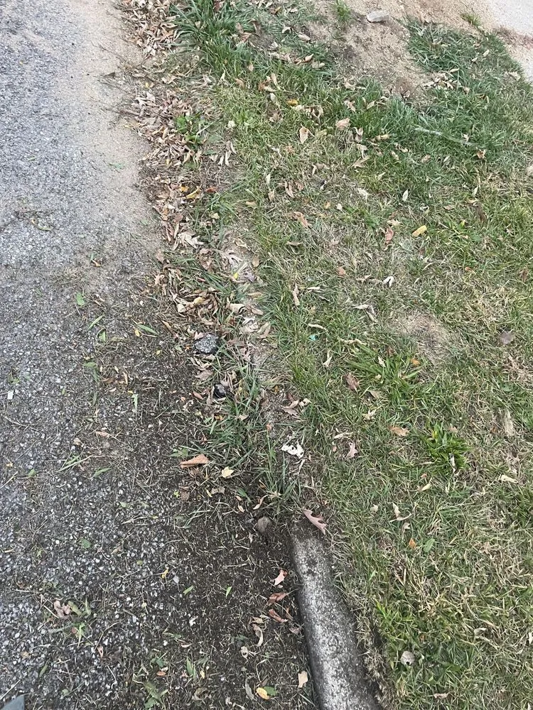 Top-rated residential landscaping experts serving South Bend, IN - 365 lawn pros