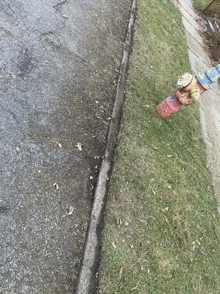 Top-rated landscaping services for homes in South Bend, IN by 365 lawn pros