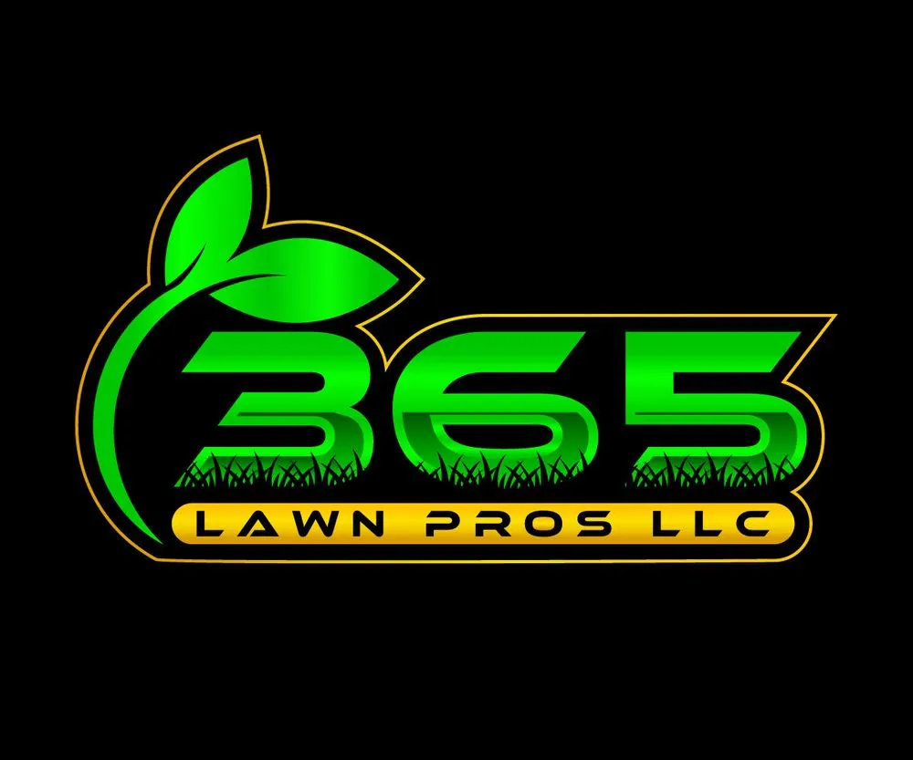 Reliable yard cleanup service in South Bend, IN - 365 lawn pros