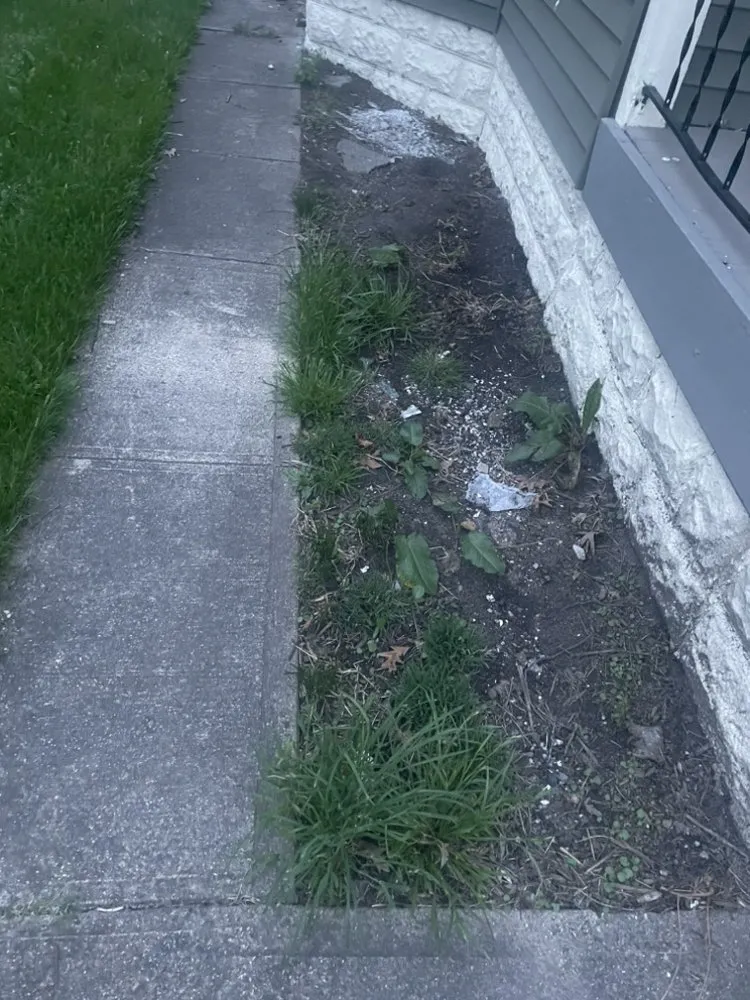 Expert landscaping services experts serving South Bend, IN - 365 lawn pros