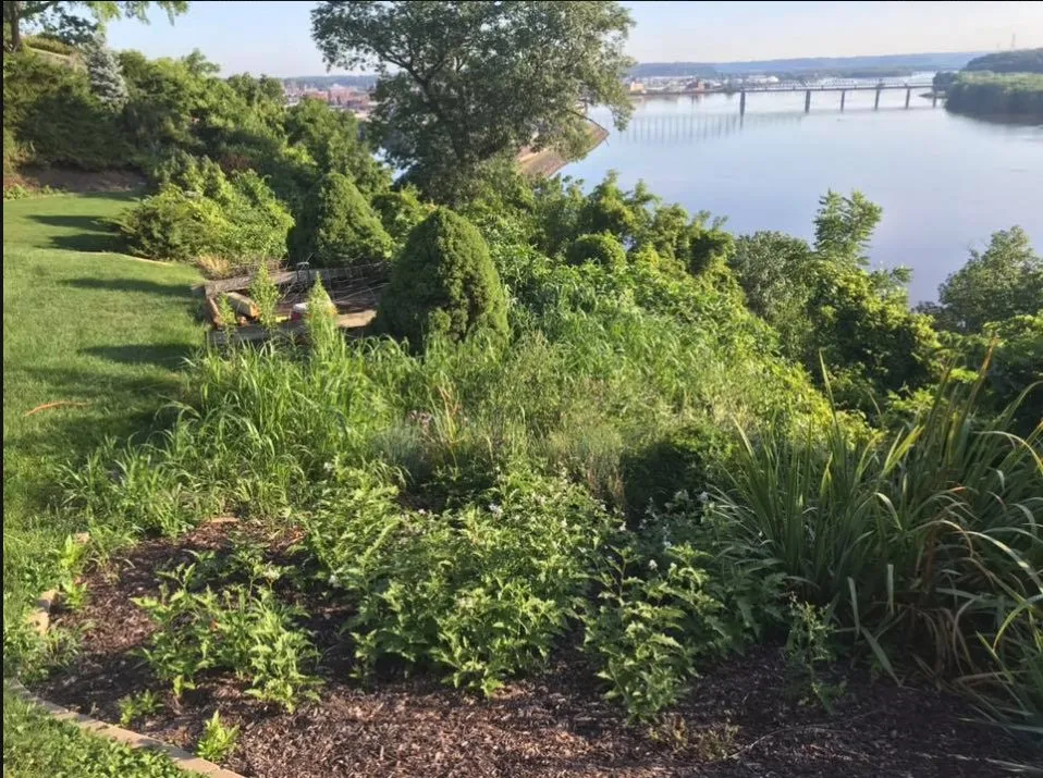 Professional lawn mowing service in Mounds View, MN by 365 Snow Removal & Lawn Services