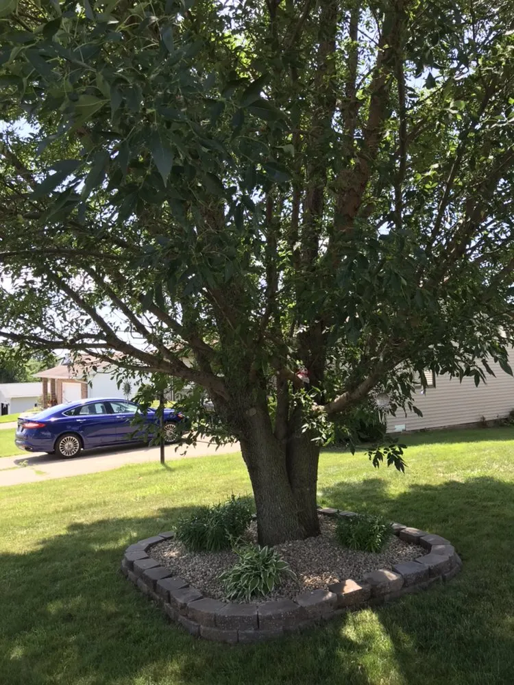 Top-rated outdoor landscaping for residential properties in Mounds View, MN by 365 Snow Removal & Lawn Services