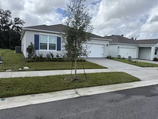 369 Green Lanwcare Logo