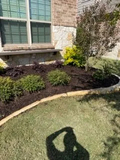 Local landscape design in Princeton, TX by 380 Landscapes
