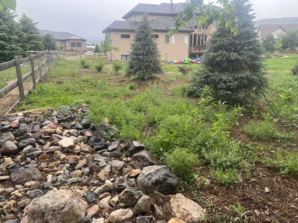 Expert residential landscaping experts serving Denver, CO - 3A Lawn Care