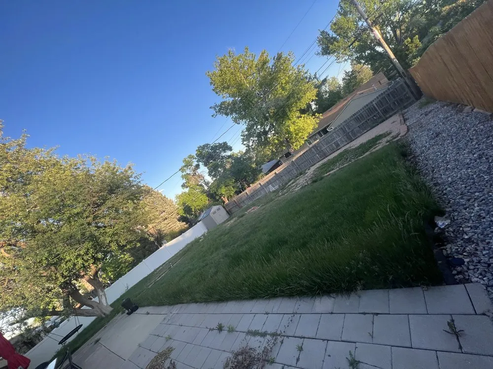 Local yard cleanup service experts serving Denver, CO - 3A Lawn Care