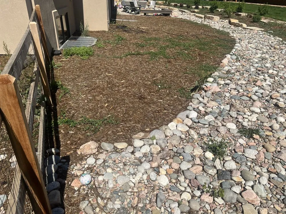 Reliable yard cleanup service experts serving Denver, CO - 3A Lawn Care