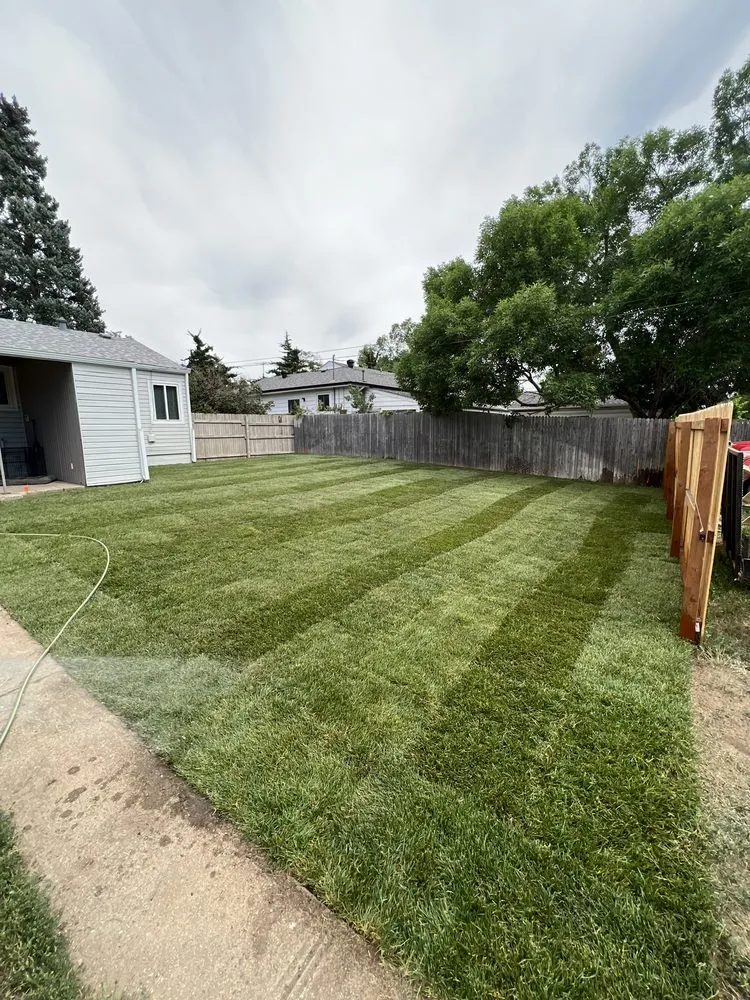 Custom lawn mowing service near you across Denver, CO - 3A Lawn Care