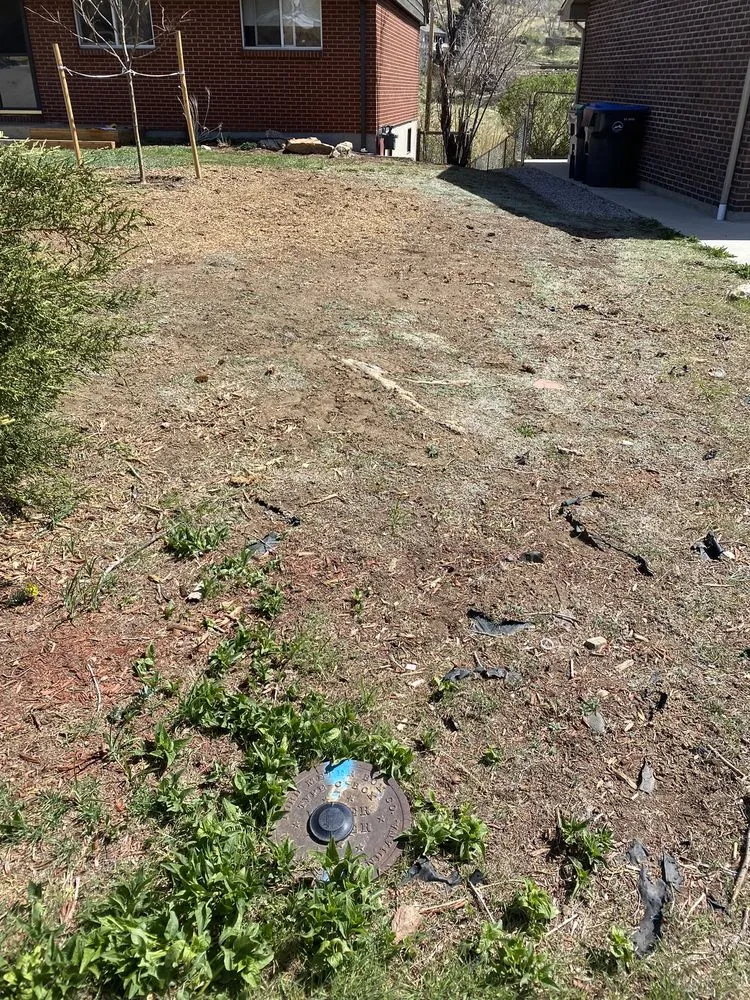 Custom landscaping services in Denver, CO by 3A Lawn Care