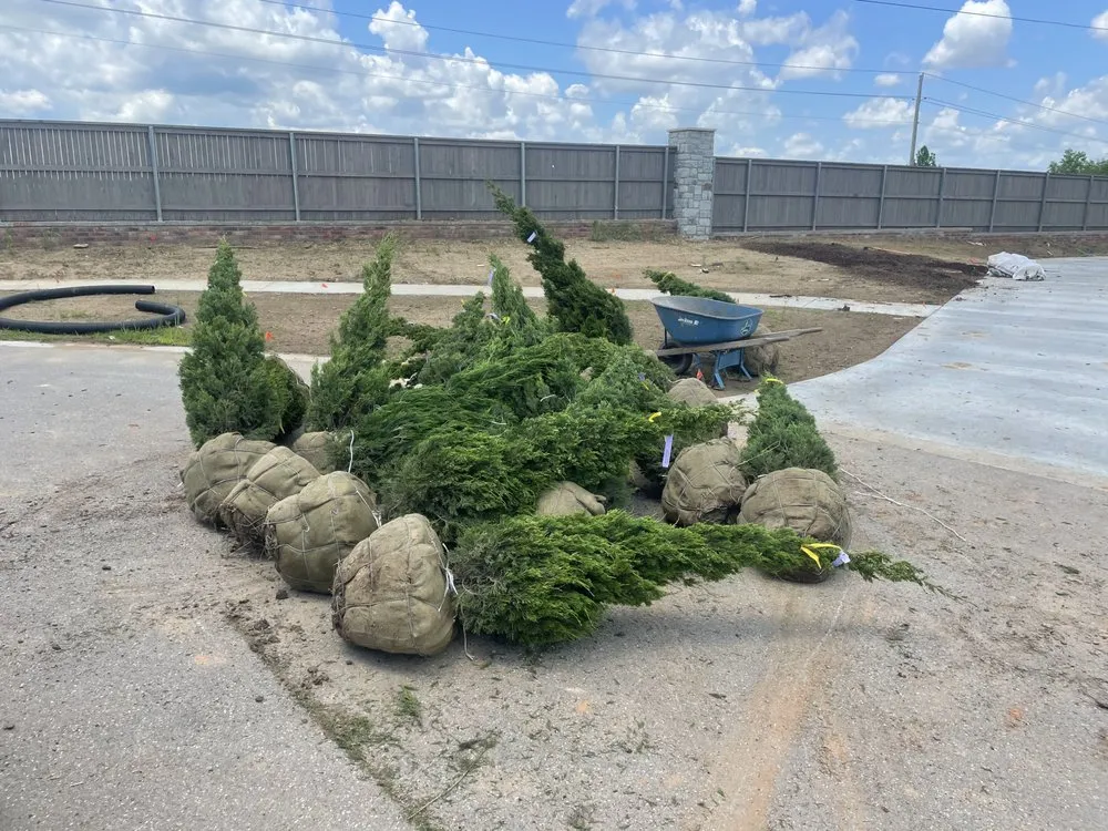 Local yard maintenance for outdoor upgrades in Tulsa, OK by 3ALandscapes