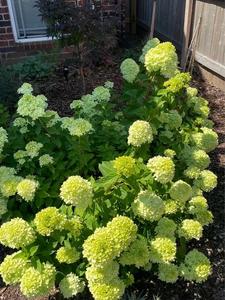 Affordable landscape design in Tulsa, OK - 3ALandscapes