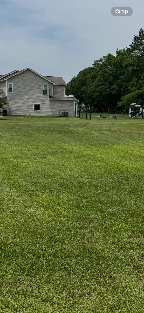 Custom outdoor landscaping experts serving Goldsboro, NC - 3B Lawn Care & Maintenance