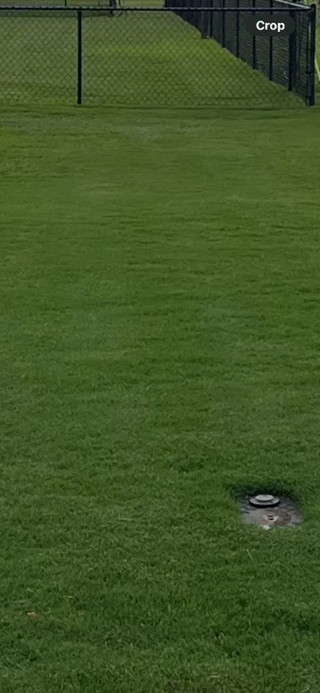 Custom garden landscaping in Goldsboro, NC by 3B Lawn Care & Maintenance