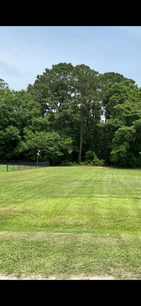 Local lawn mowing service in Goldsboro, NC by 3B Lawn Care & Maintenance